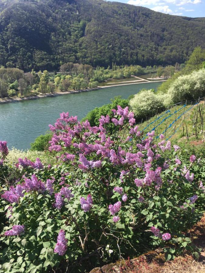 Berg'S Backpacker Hotell Rüdesheim am Rhein Exteriör bild