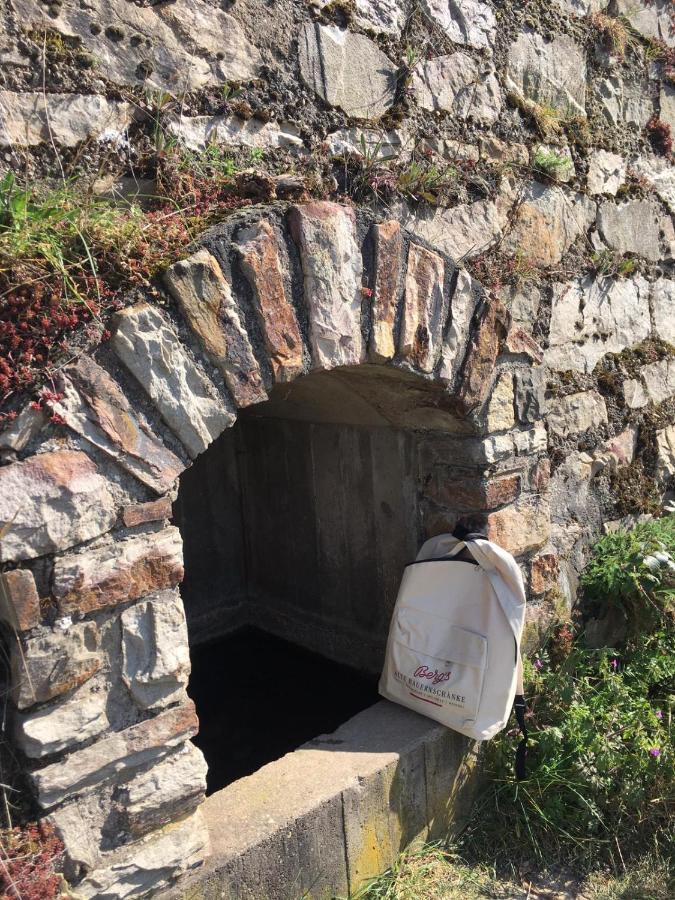 Berg'S Backpacker Hotell Rüdesheim am Rhein Exteriör bild
