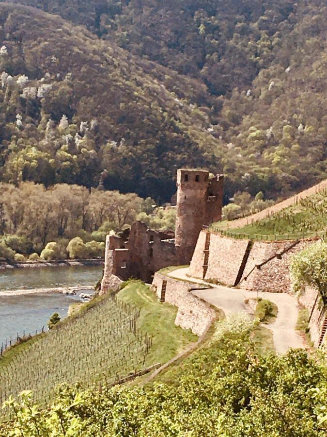 Berg'S Backpacker Hotell Rüdesheim am Rhein Exteriör bild